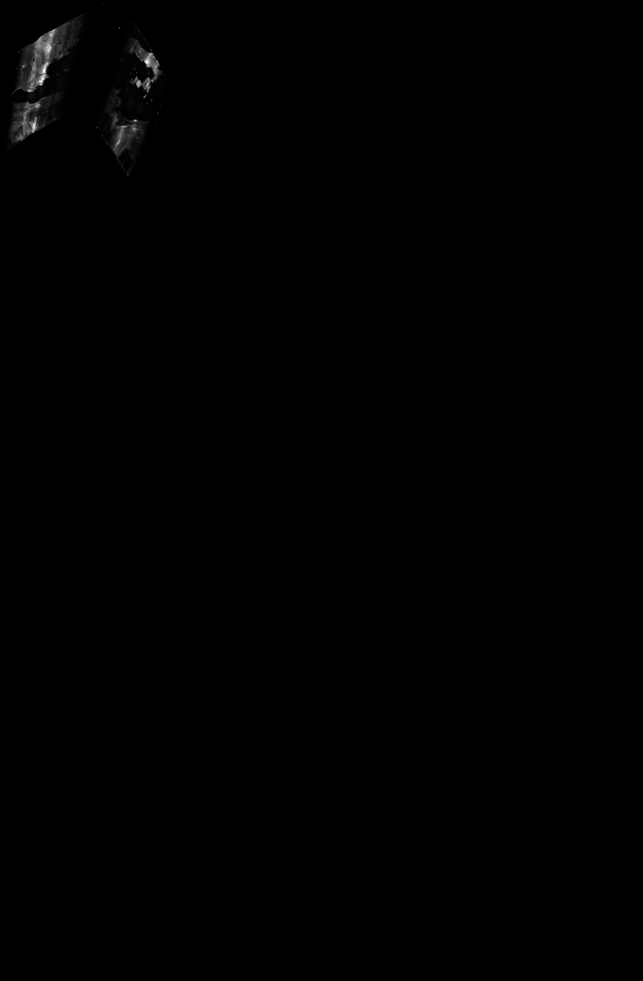 ascat_grayscale_proj_forward.png